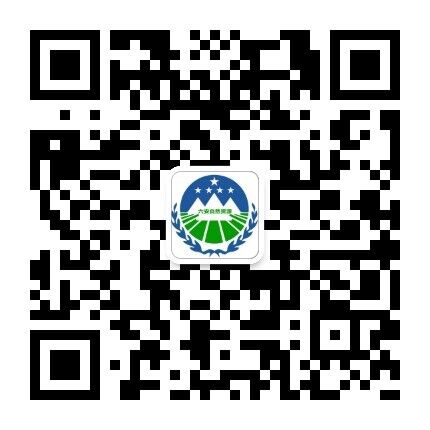 市自然資源局