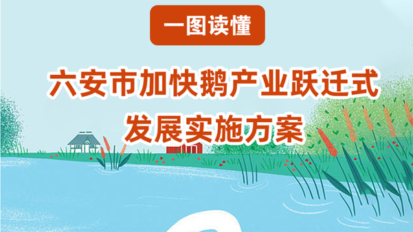 【圖片解讀】六安市人民政府辦公室關于印發(fā)六安市加快鵝產業(yè)躍遷式發(fā)展實施方案的通知