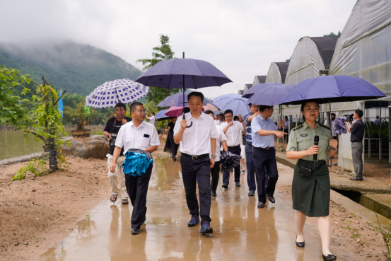 全省退役軍人參與鄉(xiāng)村振興基層治理暨重點工作推進會在金寨召開