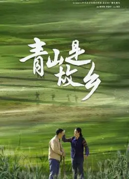 《青山是故乡》：一曲田园牧歌，一段乡愁记忆，治愈你我疲惫心灵
