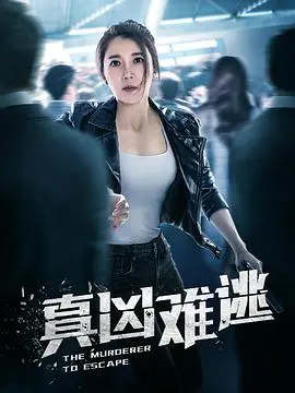 惊心动魄的追逐游戏：电影《真凶难逃》揭秘隐藏的真相与人性黑暗