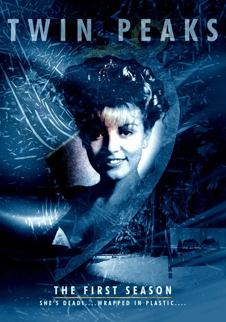 《双峰》第一季：悬疑小镇背后的黑暗秘密，带你沉浸式体验另类美剧的魅力！