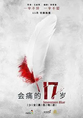 《会痛的17岁》：青春的阵痛与迷惘，一场关于成长的疼痛告白
