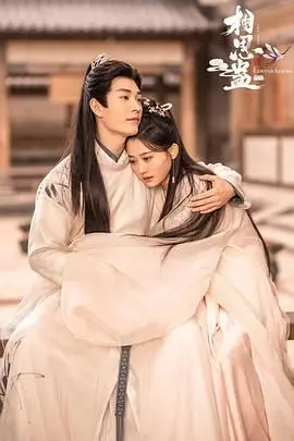 《相思蛊》：这剧组是认真的吗？又臭又长，还不如看《老衬喜相逢》来得痛快！