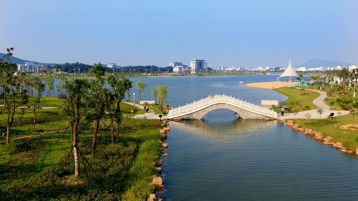 淠陽湖公園