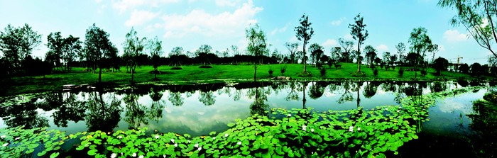 公園綠地
